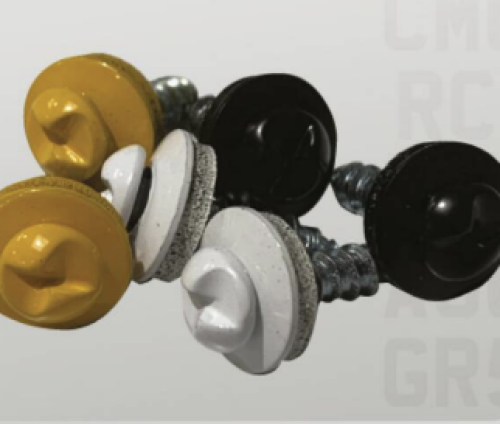 Number Plate Anti Theft Screws